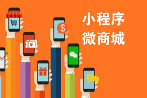 商城小程序開發