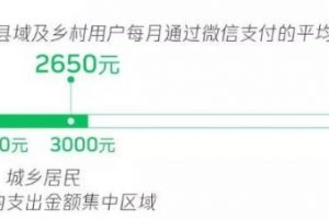 《2020微信縣域鄉村數字經濟報告》