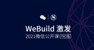 2020年服務商小程序GMV同比增長182%