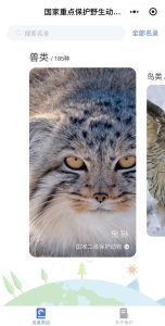 “國家重點保護動物名錄”小程序上線:提供保護動物信息查詢