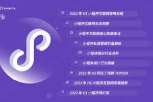 2022年H1小程序互聯(lián)網(wǎng)發(fā)展白皮書